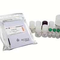 （麦格生物）碧云天（beyotime）原装正品 现货促销