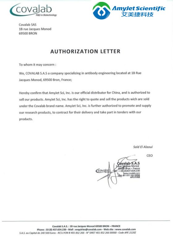 Covalab——艾美捷流行和罕见靶标的一抗解决方案 Covalab——艾美捷流行和罕见靶标的一抗解决方案