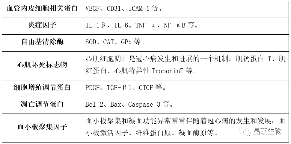 新闻图片4
