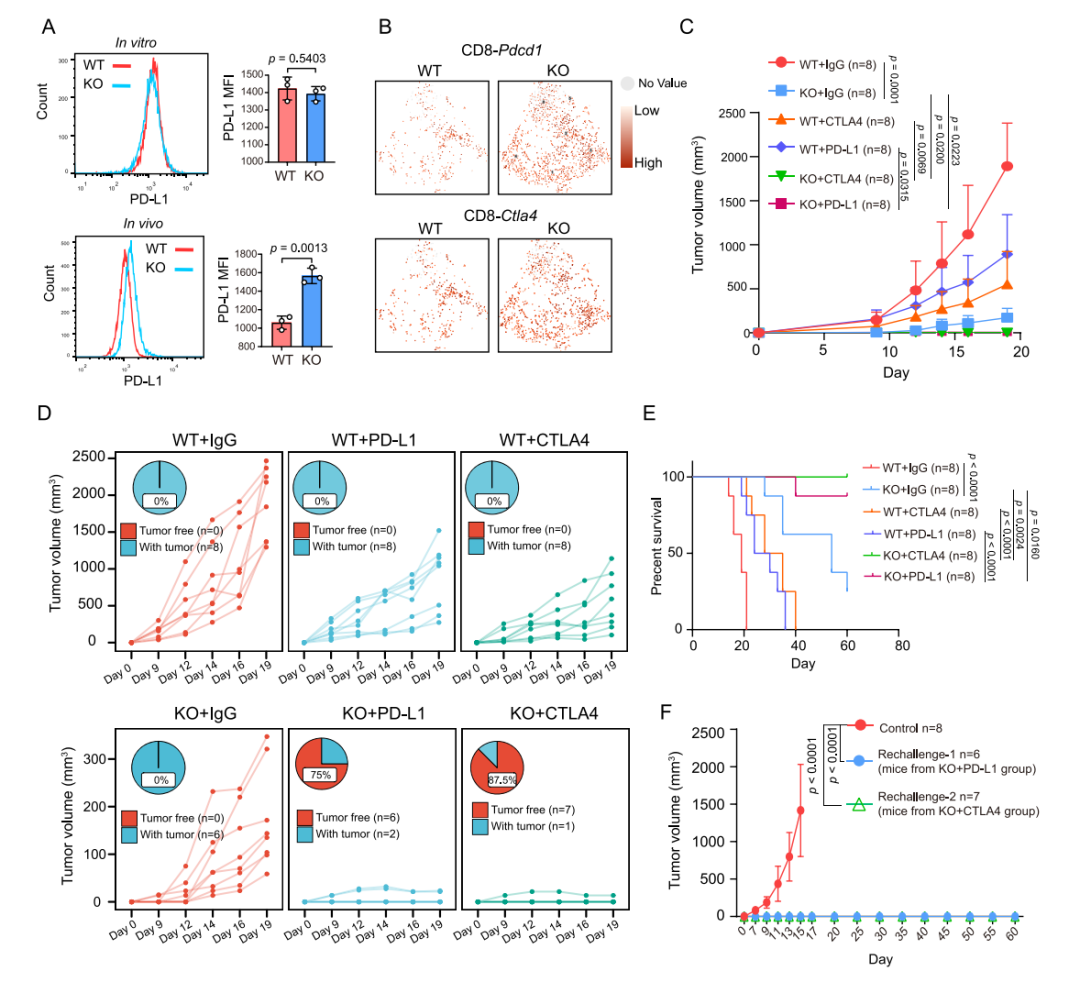 【烈冰助力】单细胞技术揭示肿瘤细胞驱动的免疫逃逸机制