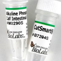 （麦格生物）NEB 原装正品 现货促销