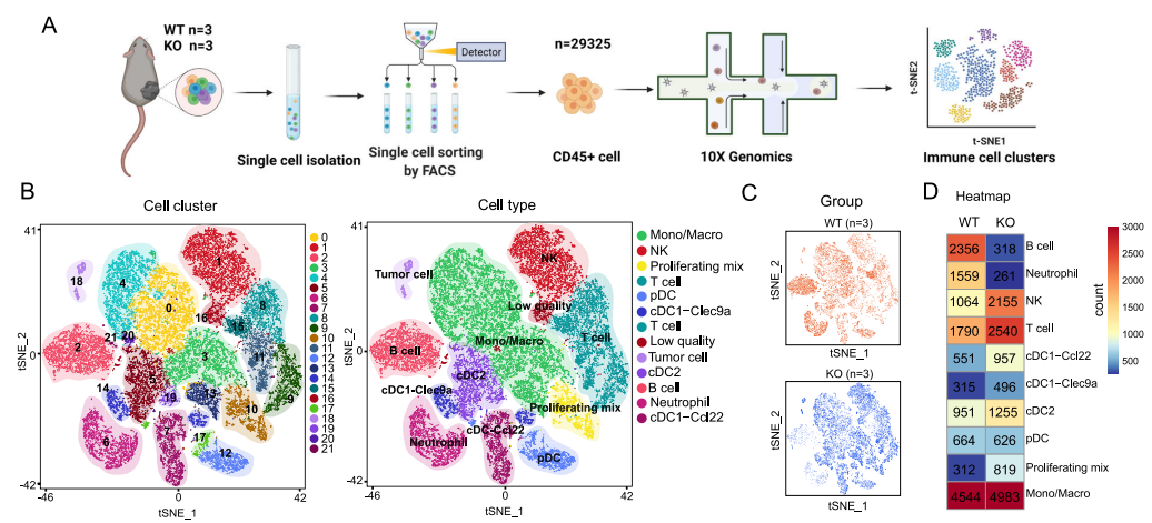 【烈冰助力】单细胞技术揭示肿瘤细胞驱动的免疫逃逸机制