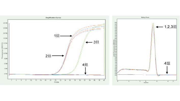 FastKing cDNA 第一链合成试剂盒 ( 去基因组 
