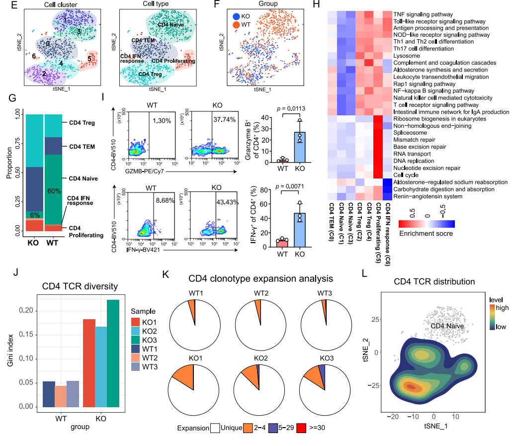 【烈冰助力】单细胞技术揭示肿瘤细胞驱动的免疫逃逸机制