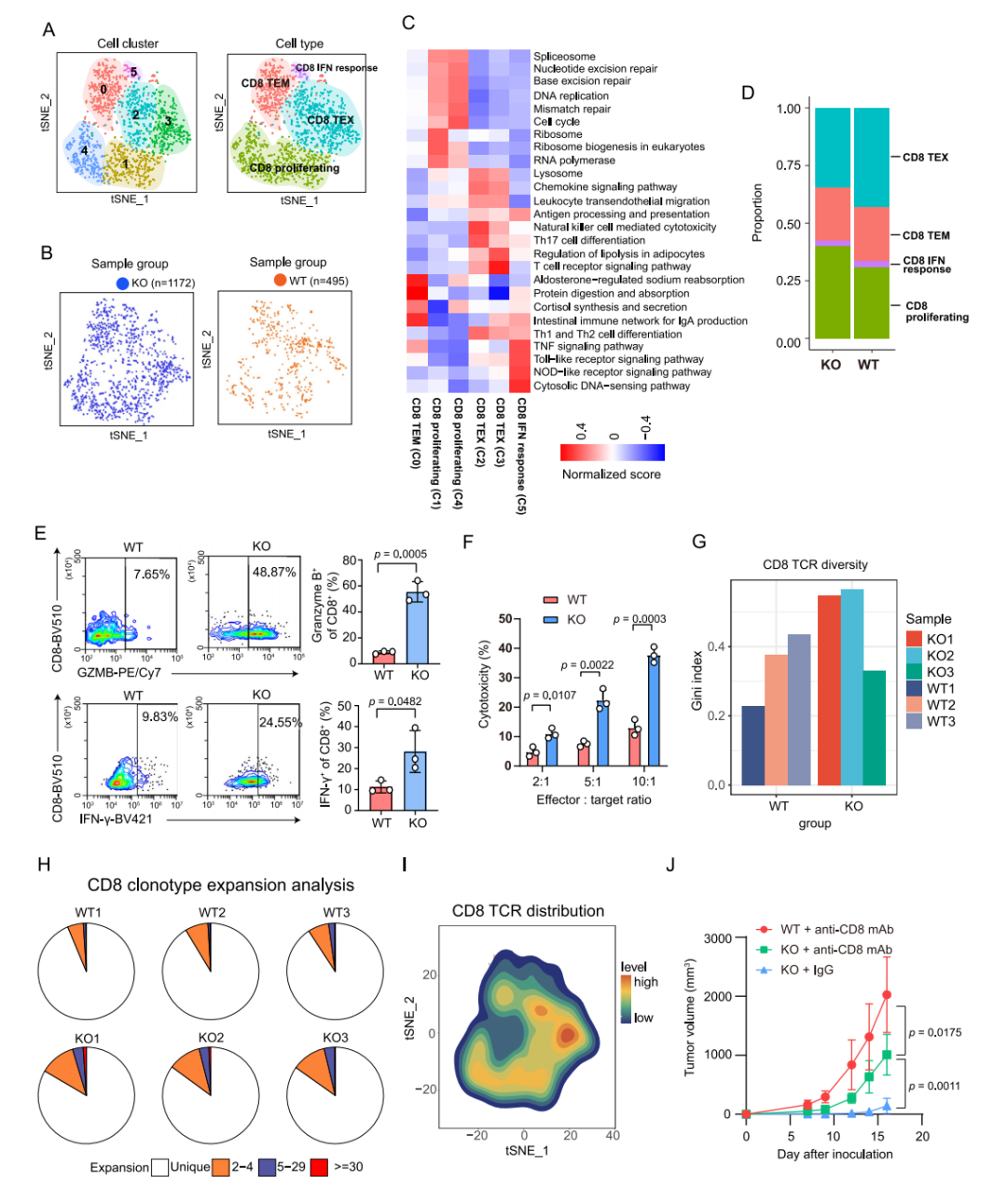 【烈冰助力】单细胞技术揭示肿瘤细胞驱动的免疫逃逸机制