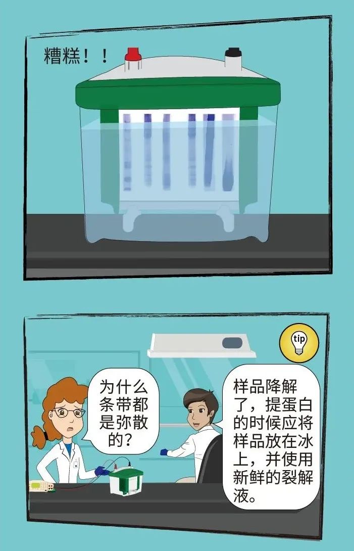 崩溃！WB 又要从头再来，踩坑无数的我总结了这 5 点