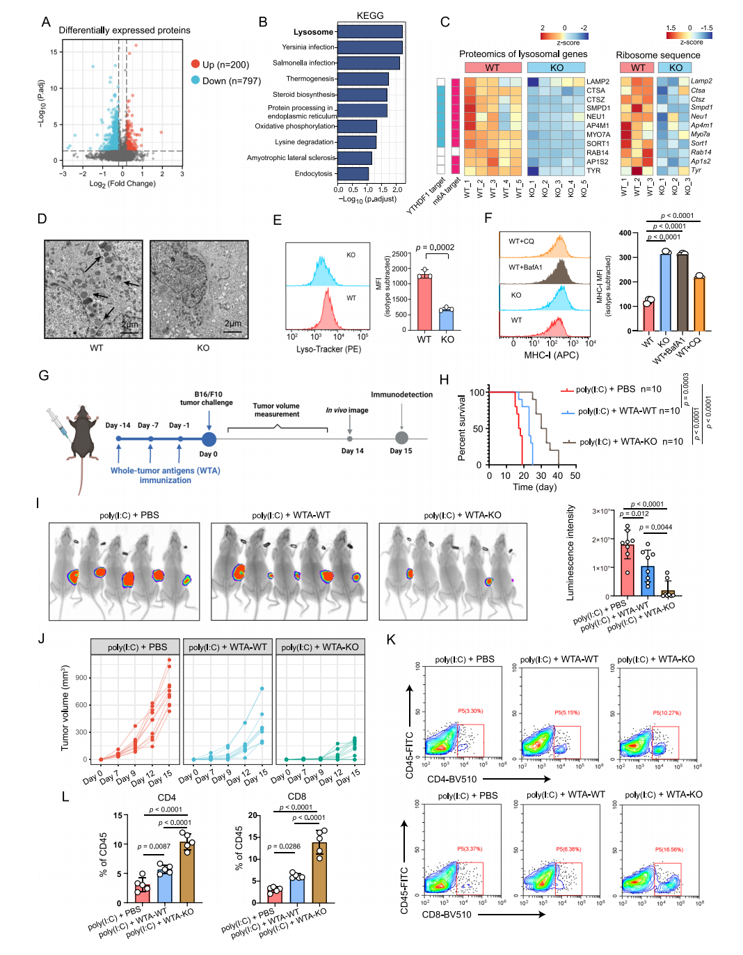 【烈冰助力】单细胞技术揭示肿瘤细胞驱动的免疫逃逸机制