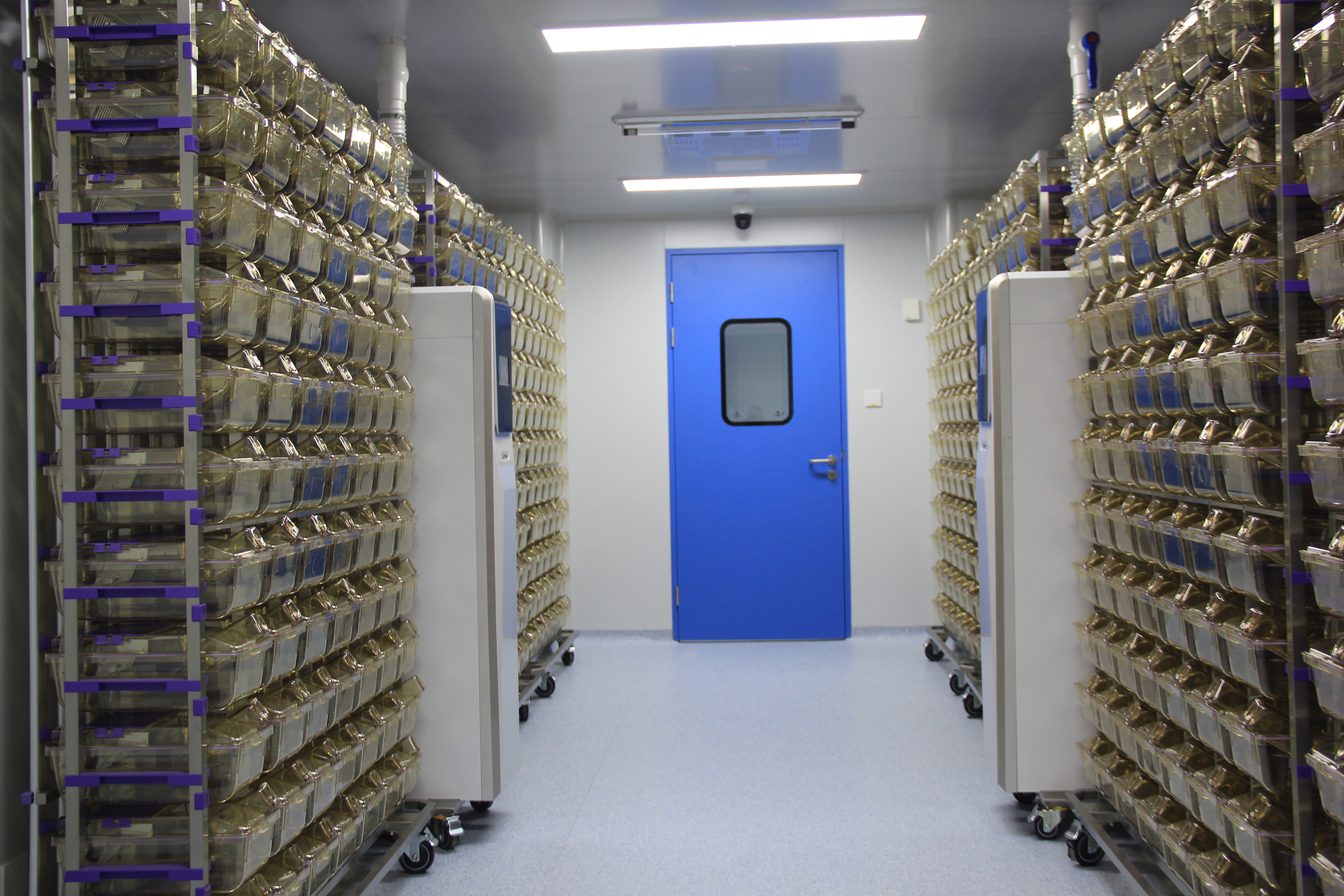 动物疾病模型/动物实验