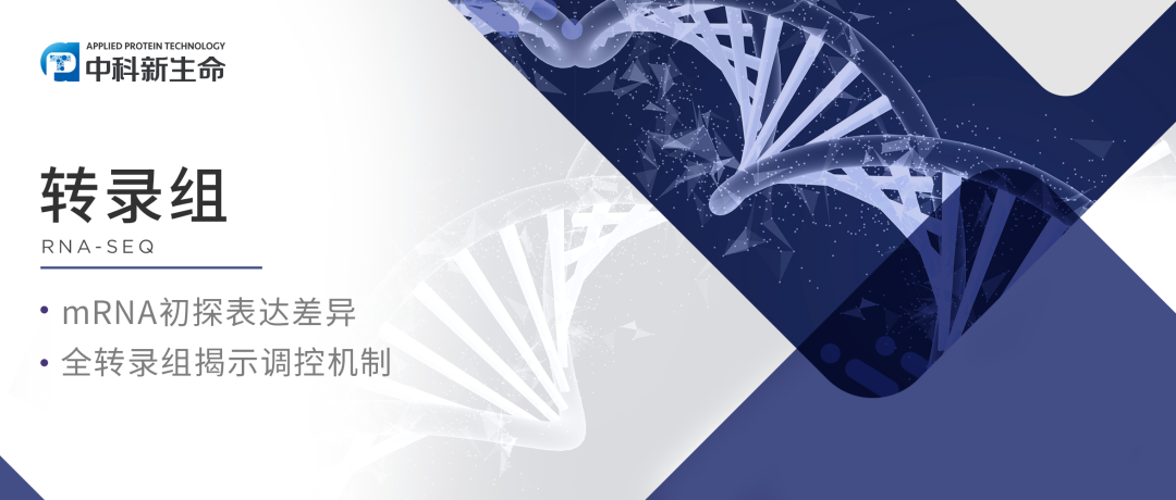 项目文章Compos Part B-Eng（IF 11.322）｜上海第九人民医院杨盛兵团队发现新型“金属骨头”