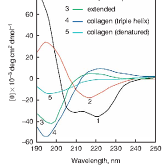 生物制药分析-北京百泰派克生物科技