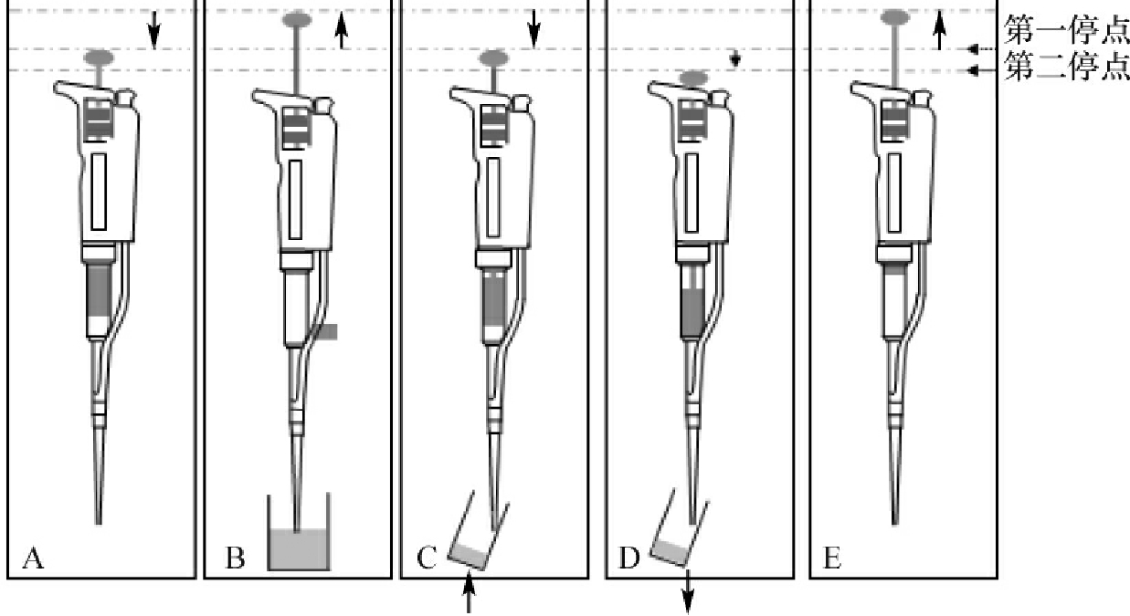 移液枪使用的奔溃瞬间，你遇到过几个！