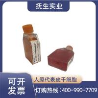 成纤维细胞生长因子