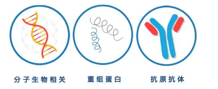Recombinant Human MMP3