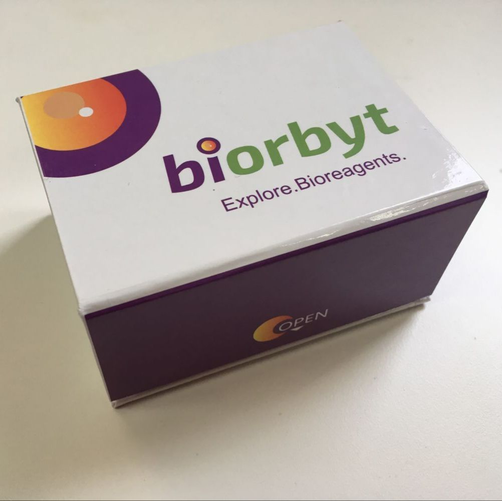Mouse Nerve Growth Factor (NGF) ELISA Kit试剂盒,orb1664530,Biorbyt