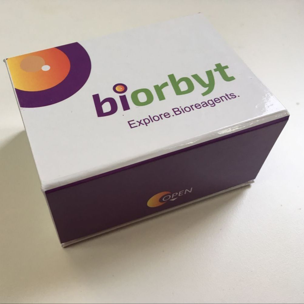 Mouse Sclerostin (SOST) ELISA Kit试剂盒,orb1653357,Biorbyt