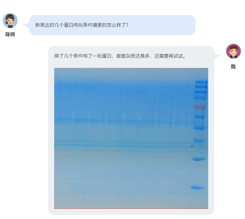 有这三大利器指点迷津，层析纯化条件摸索有救啦