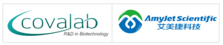 Covalab丨艾美捷耐甲氧西林金丨黄色葡萄丨球菌抗体 Covalab丨艾美捷耐甲氧西林金丨黄色葡萄丨球菌抗体