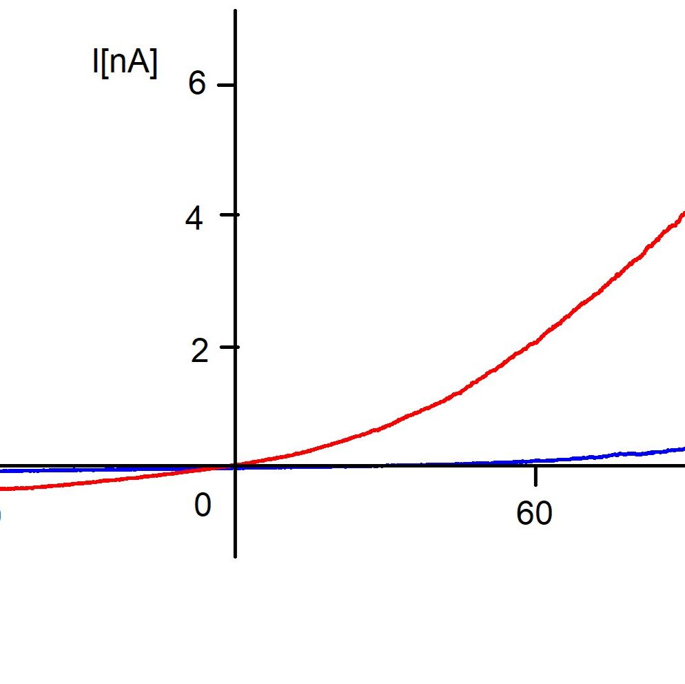 Service|膜片钳服务|TRPV1靶点|北京向新立生物