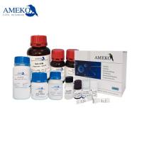 ACK红细胞裂解液(ACK Lysis Buffer),RC20172-100mL