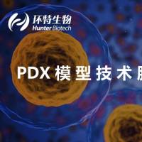斑马鱼PDX技术服务-PDX模型构建-药敏检测