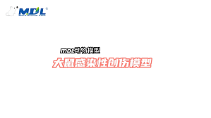 丁香实验推荐阅读
