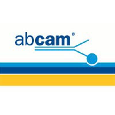 abcam ab82010 Anti-Beclin 1 antibody (HRP) (ab82010)  现货