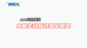 丁香实验推荐阅读