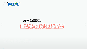 丁香实验推荐阅读