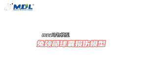 丁香实验推荐阅读
