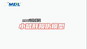 丁香实验推荐阅读