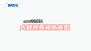 丁香实验推荐阅读