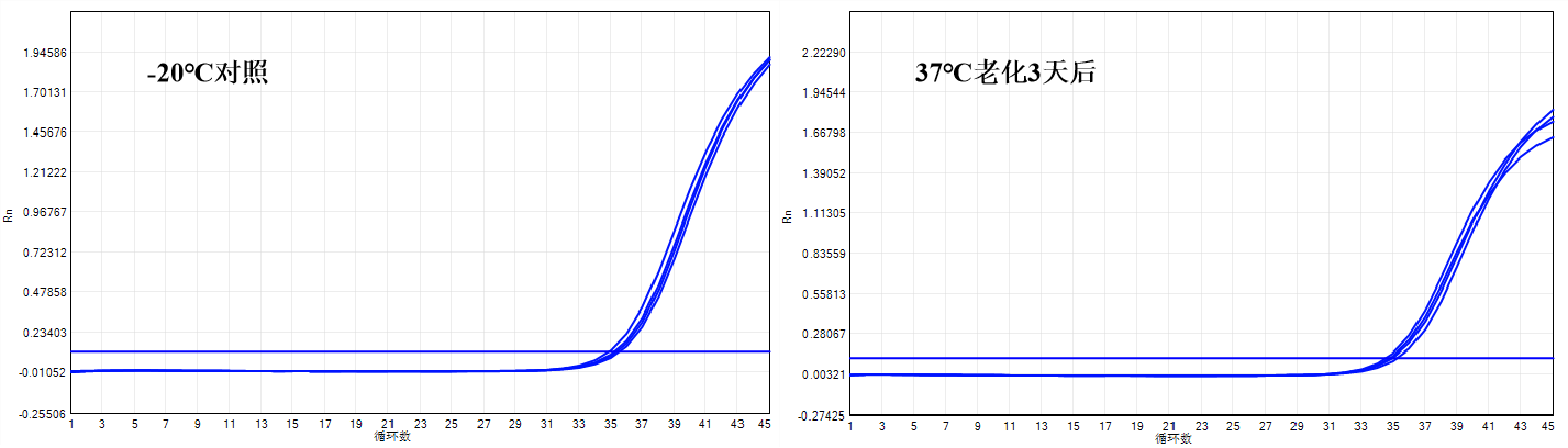 推介 | 英赞生物非洲猪瘟病毒全预混检测试剂解决行业“痛点”