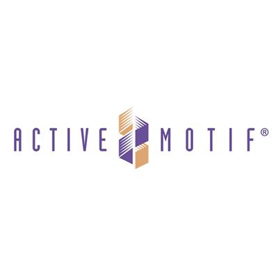 Active Motif