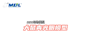 丁香实验推荐阅读