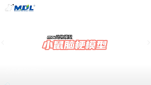 丁香实验推荐阅读
