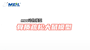 丁香实验推荐阅读