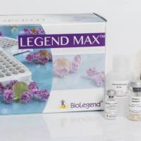 DAB Chromogen Concentrate