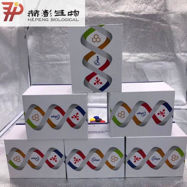 血糖试剂盒（GOPOD酶法）