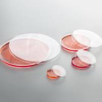 安进特 细胞培养皿