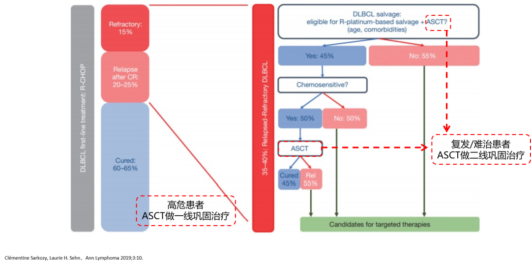 胡凯主任：选择 CAR-T 还是自体移植？强强联合又会擦出怎样的火花？