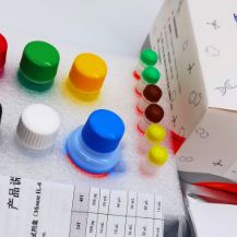 氧化型/脱氢抗坏血酸（DHA）含量测试盒（微量法）