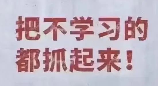 更适合动物科研宝宝的免费实操培训，来了！