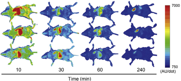 强势来袭-国自然热点[外泌体研究解决方案]
