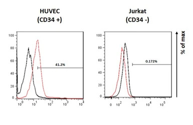 CD34 antibody [HL1895]