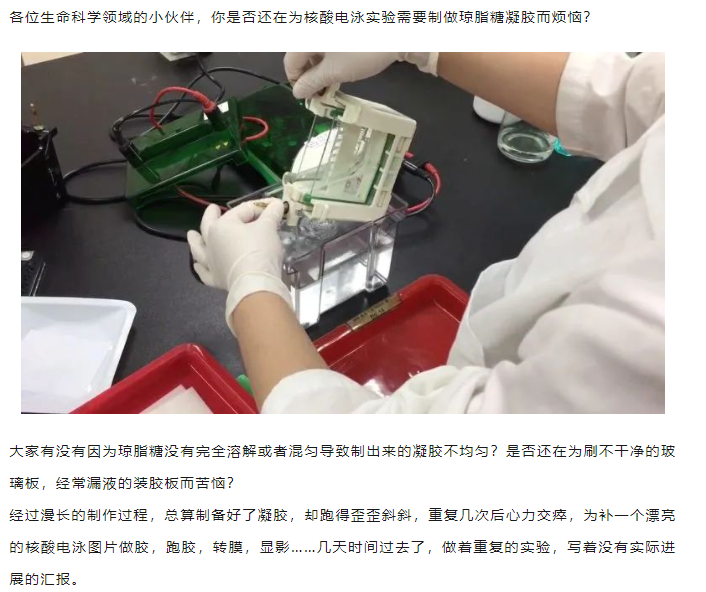 核酸电泳省心省力省时的秘诀