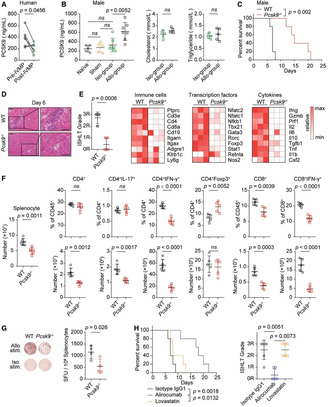 Circulation | 南模生物助力揭示心脏移植后排斥反应的调控新机制