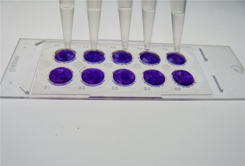 技术资料图片17