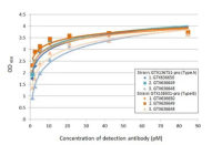 Respiratory Syncytial virus type B Nucleoprotein, DDDDK tag