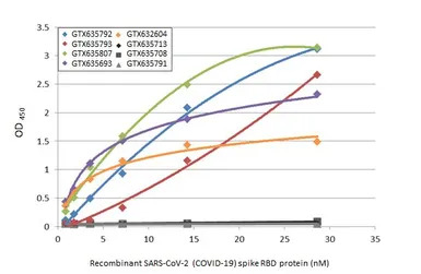 SARS-CoV-2 (COVID-19) Spike (ECD) Protein, Omicron / BA.2.75 variant, His tag