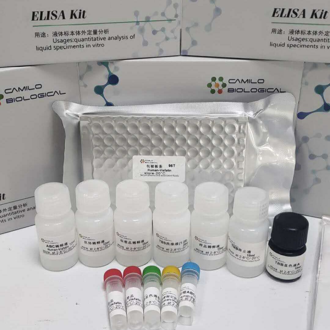 犬基质金属蛋白酶9(MMP-9)ELISA试剂盒